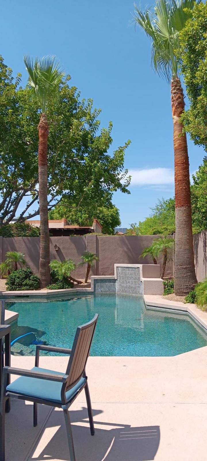 Pool & Tropical Landscaping