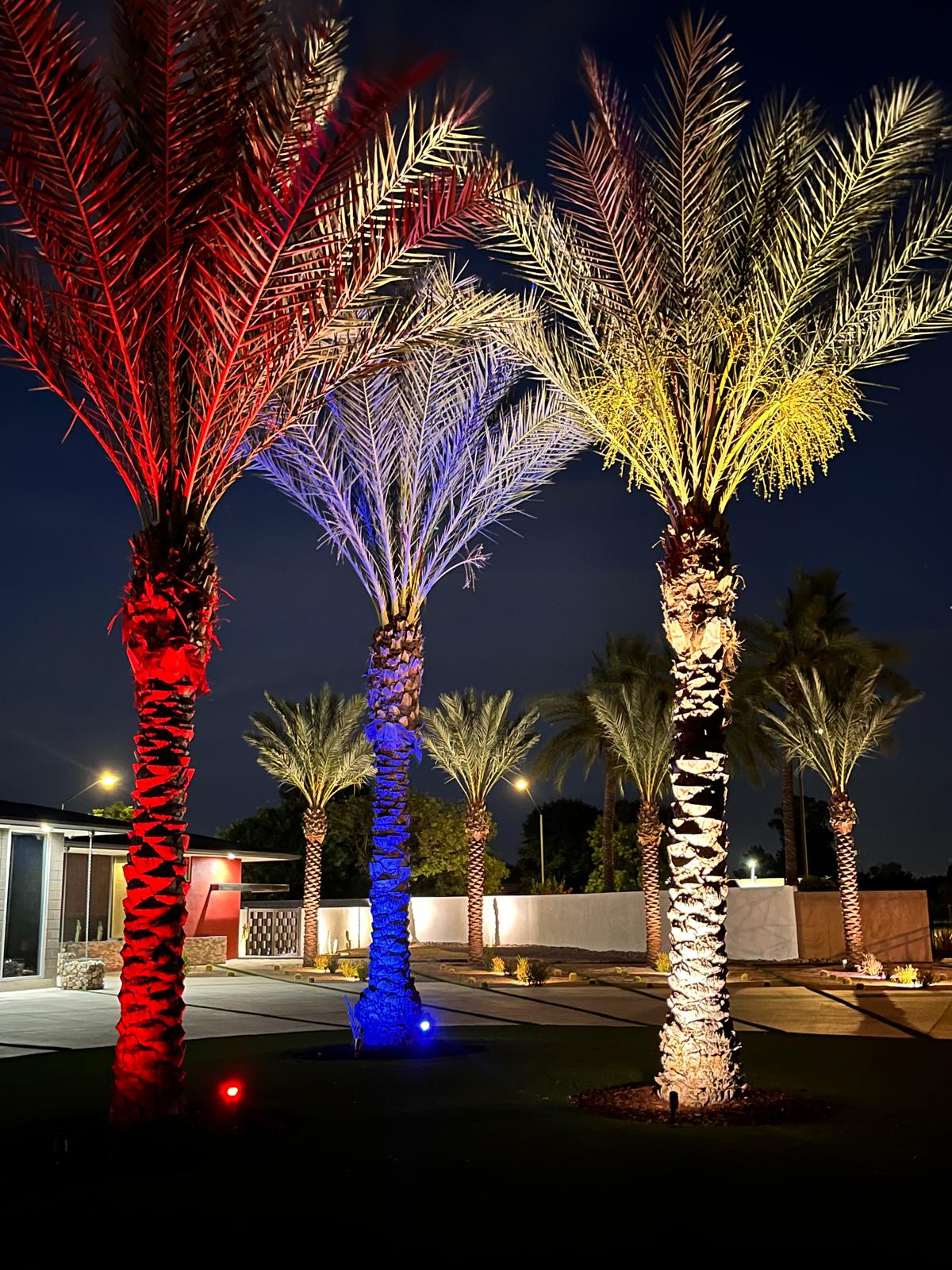 Landscape Lighting